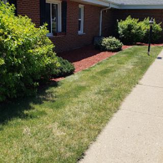 A well-maintained lawn and garden area alongside a sidewalk, featuring neatly trimmed bushes.
