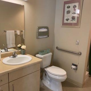 A well-organized bathroom with a sink, toilet, mirror, and decorative elements.