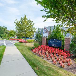 A well-maintained walkway with vibrant flowers and trees in a residential area.