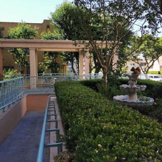 A serene garden scene featuring a fountain and neatly trimmed hedges.