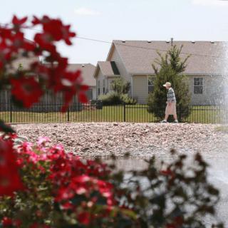 A person walks along a path in a suburban neighborhood, with vibrant red flowers in the foreground.