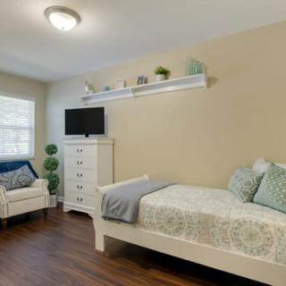A cozy bedroom featuring a single bed, armchair, and dresser with a TV mounted above. The room is decorated with plants and wall shelves.