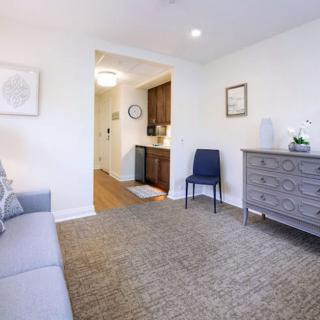 A cozy living room with modern furnishings and decor.