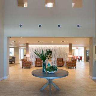 A modern lobby with elegant furnishings and decorative plants.