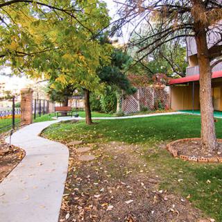 A scenic park with a winding pathway, surrounded by trees and greenery in an autumn setting.