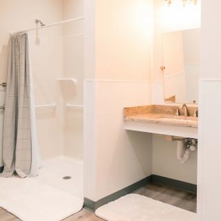A modern bathroom featuring a walk-in shower and a sleek vanity with a mirror.