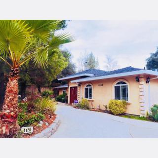 A suburban house with a driveway and landscaped garden featuring a prominent palm tree.