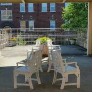 A sunny patio with white plastic chairs arranged around a planter.