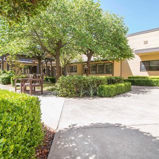 A peaceful courtyard with benches, trees, and a paved walkway on a sunny day.