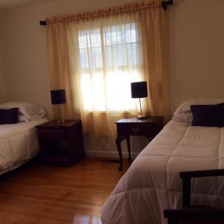A cozy bedroom featuring twin beds with dark wooden nightstands and lamps, adorned with soft curtains filtering the sunlight through a window.