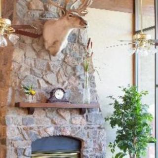 A rustic interior with a stone fireplace, decorated with a deer mount and a mantelpiece clock.