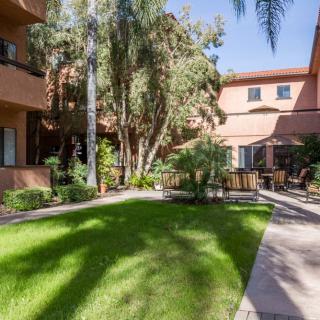 Sunny courtyard of an apartment complex with a well-maintained green lawn and surrounding trees.