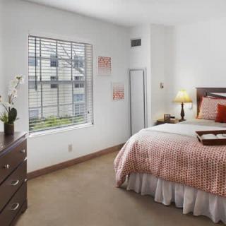 Cozy bedroom with warm decor and natural light.