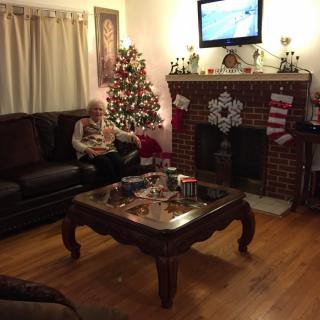 A cozy living room decorated for the holidays, featuring a Christmas tree and stockings hung by the fireplace.