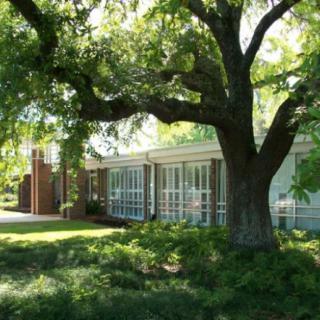 A peaceful building surrounded by lush greenery and a large tree.
