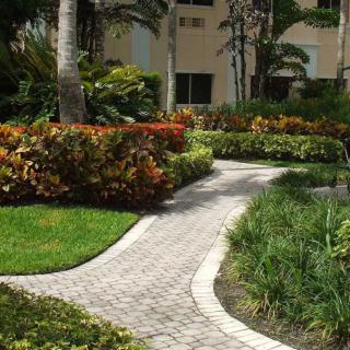 A beautifully landscaped garden with a winding stone pathway surrounded by lush greenery.