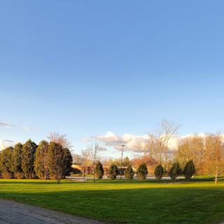 A serene view of a park on a clear day, featuring lush green grass and trees under a blue sky.