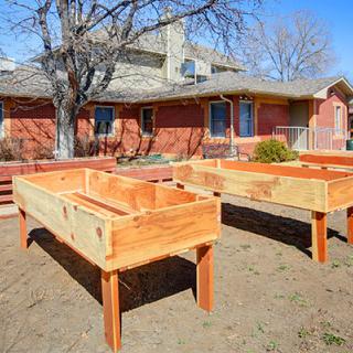 Wooden raised garden beds in a sunny backyard setting.