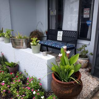 A cozy outdoor area featuring various potted plants and a bench with floral decorations.