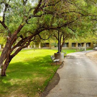 A serene pathway lined with lush green grass and trees in a park setting.