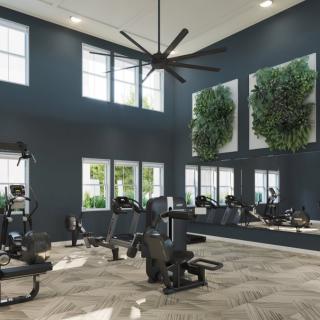 A modern gym with exercise equipment, large mirrors, and natural plant decor.