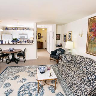 A cozy living room with a patterned sofa, decorative rug, and dining area visible in the background.