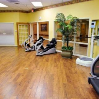A spacious gym with elliptical machines and a wooden floor, featuring potted plants for decoration.