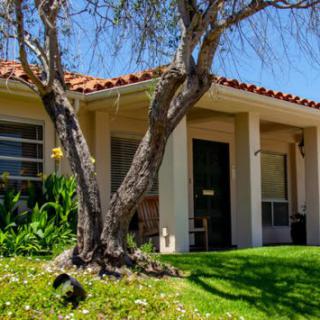 A cozy house with a tree and a well-maintained lawn in front.