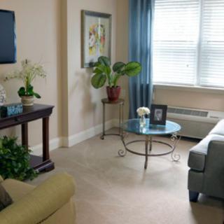 A cozy living room with modern furniture and decorative plants, featuring a glass coffee table and a large window with blue curtains.