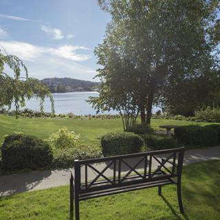 A tranquil lakeside scene with a bench overlooking the water and surrounded by lush greenery.