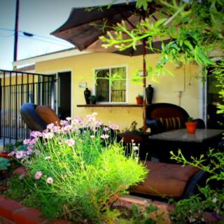 A cozy patio garden with lush greenery and comfortable outdoor seating.
