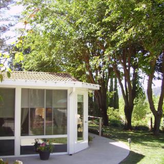 A tranquil sunroom surrounded by lush trees and greenery.