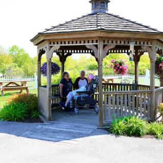 A peaceful moment under the gazebo in a lush green park.