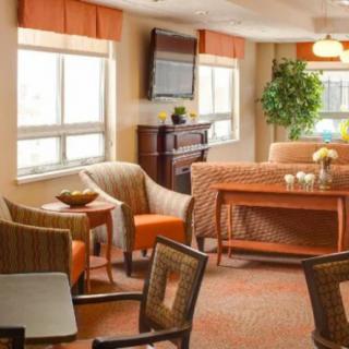 A cozy living room with comfortable seating and a television, featuring natural light from large windows and an indoor plant for added warmth.