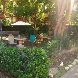 A serene garden setting with patio furniture and sunlight filtering through the trees.