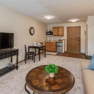 A cozy living area with an open small kitchen, featuring a sofa, television, dining table, and indoor plant.