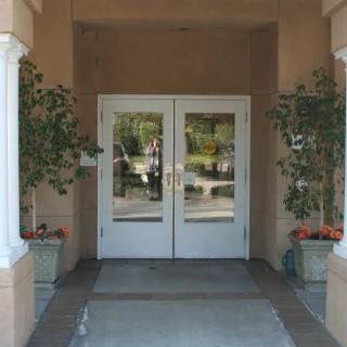 A building entrance with double glass doors, flanked by plants in pots, reflecting the outdoors.