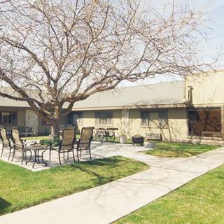 A peaceful courtyard featuring a tree, patio furniture, and a walkway.