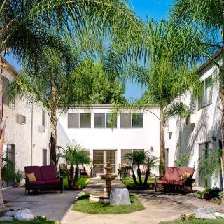 A sunny courtyard with palm trees and a central fountain surrounded by comfortable outdoor seating.
