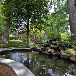 A serene garden with a tranquil pond surrounded by lush trees and greenery.