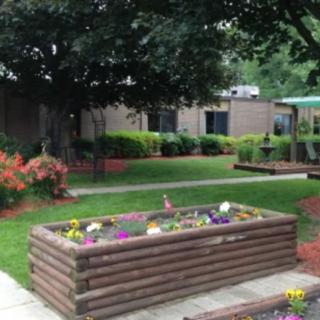 A landscaped garden with a wooden flower bed, surrounded by greenery and trees.