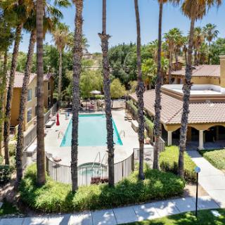 A sunny day at a residential apartment complex featuring a swimming pool surrounded by palm trees.