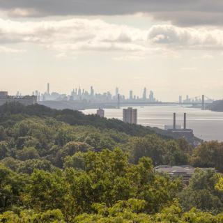 A scenic view of a city skyline in the distance, with lush greenery and a river flowing under a cloudy sky.