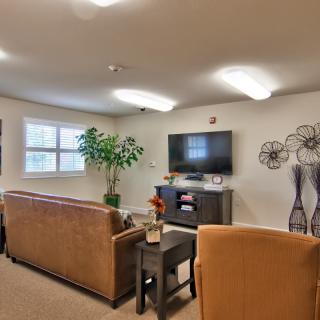 A cozy living room with sofas facing a television, decorated with wall art and an indoor plant.