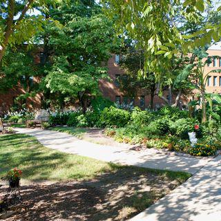 A serene garden pathway surrounded by lush greenery and a brick building in the background.