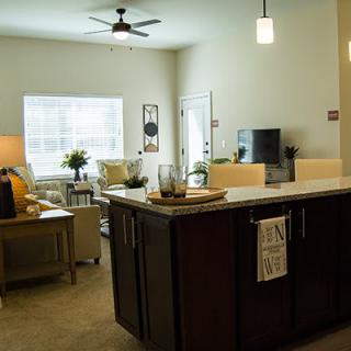 A modern open-concept living room with a kitchen island, featuring stylish furniture and decor.