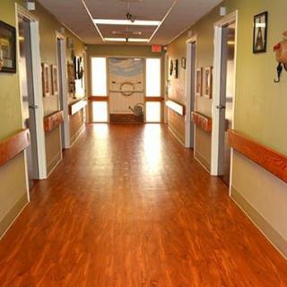 A brightly lit hallway with wooden flooring and decorated walls.