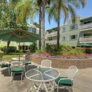 Palo Alto Commons