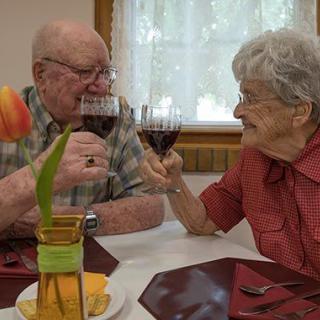 An elderly couple enjoying a toast with wine at a dining table.