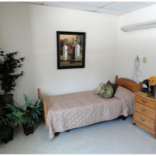 A cozy bedroom featuring a single bed, bedside table, decorative plants, and a wall painting.